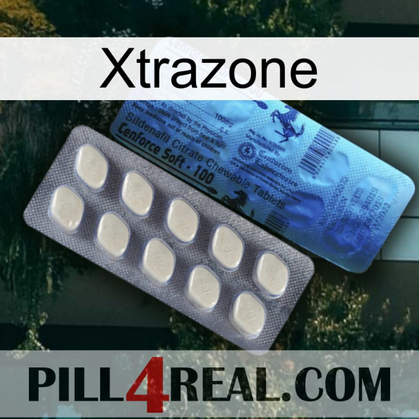 Xtrazone 34.jpg